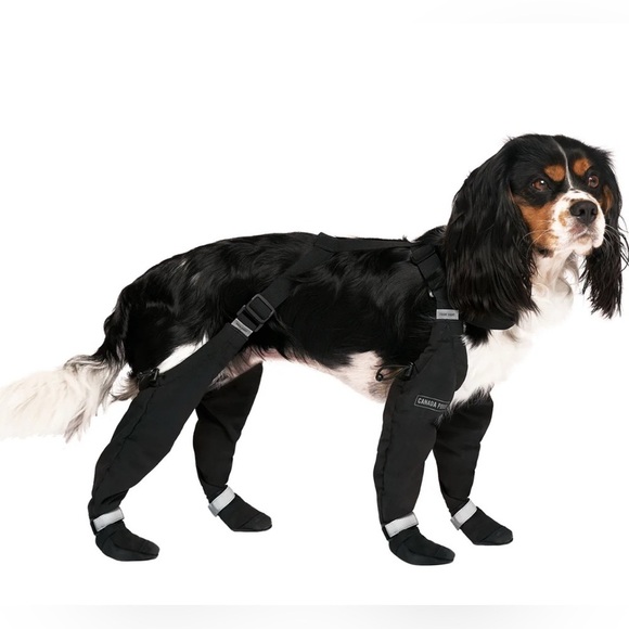 Canada Pooch Suspender Boots Black size 2 - Picture 1 of 6